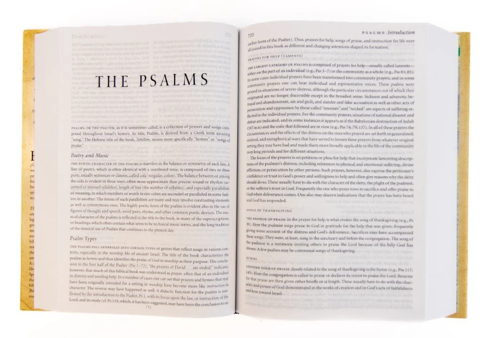 NRSV Study Bible (Revised & Updated) 4 NRSV Study Bible (Revised & Updated) - Image 2