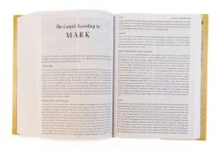 NRSV Study Bible (Revised & Updated) 7 NRSV Study Bible (Revised & Updated) -Books-Bible 226 0031 2