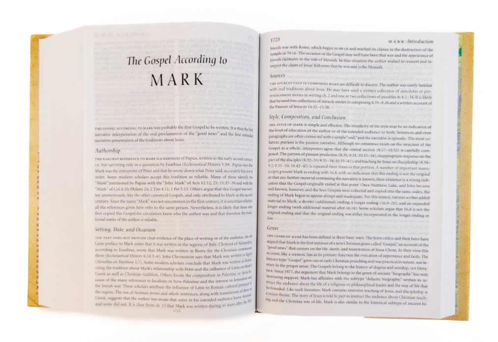 NRSV Study Bible (Revised & Updated) 5 NRSV Study Bible (Revised & Updated) - Image 3