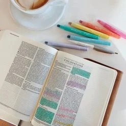 Pastel Bible Highlighter Set -Books-Bible 250 1001 3